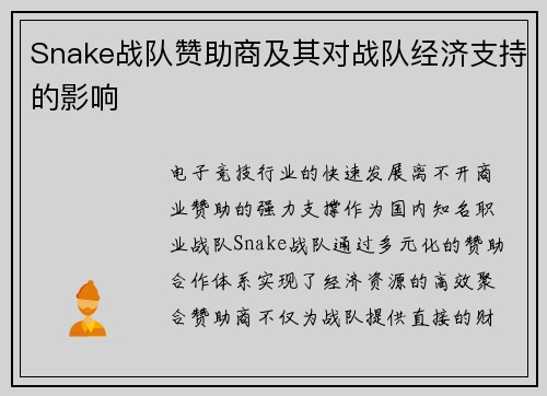 Snake战队赞助商及其对战队经济支持的影响